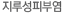 지루성피부염