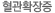 혈관확장증