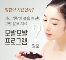 모발프로그램